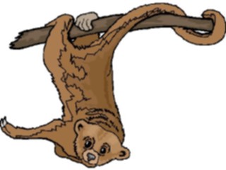 Sticker Custom Preview Image #024805 Animals Land Animals Kinkajoue2