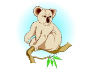 Sticker Custom Preview Image #024808 Animals Land Animals Koala2