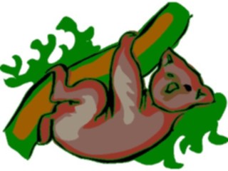 Sticker Custom Preview Image #024810 Animals Land Animals Koala4