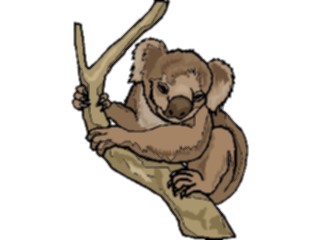 Sticker Custom Preview Image #024812 Animals Land Animals Koala6