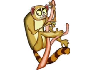 Sticker Custom Preview Image #024817 Animals Land Animals Lemur1