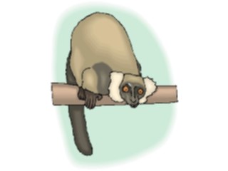 Sticker Custom Preview Image #024819 Animals Land Animals Lemur3