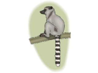 Sticker Custom Preview Image #024820 Animals Land Animals Lemur4