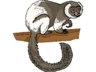 Sticker Custom Preview Image #024822 Animals Land Animals Lemur6