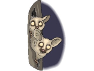 Sticker Custom Preview Image #024824 Animals Land Animals Lemurs