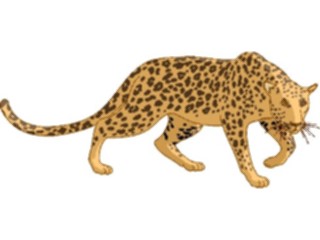 Sticker Custom Preview Image #024826 Animals Land Animals Leopard2
