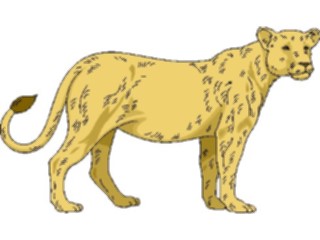 Sticker Custom Preview Image #024873 Animals Land Animals Lioness3