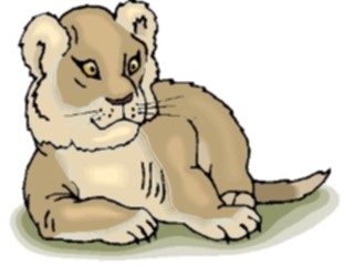 Sticker Custom Preview Image #024876 Animals Land Animals Lioness6