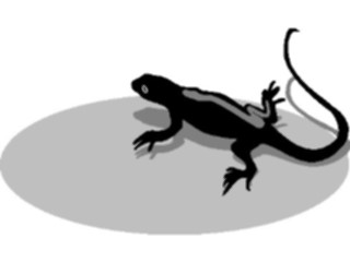 Sticker Custom Preview Image #024883 Animals Land Animals Lizard01