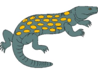 Sticker Custom Preview Image #024884 Animals Land Animals Lizard02