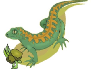 Sticker Custom Preview Image #024891 Animals Land Animals Lizard09