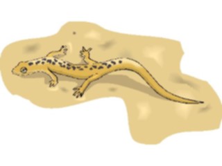 Sticker Custom Preview Image #024897 Animals Land Animals Lizard15