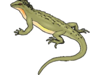 Sticker Custom Preview Image #024900 Animals Land Animals Lizard18