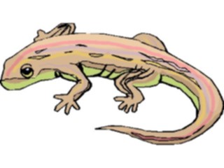 Sticker Custom Preview Image #024902 Animals Land Animals Lizard20