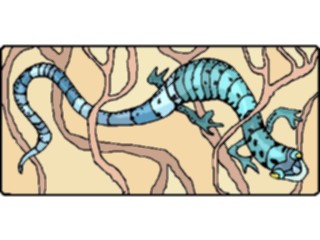 Sticker Custom Preview Image #024908 Animals Land Animals Lizard26