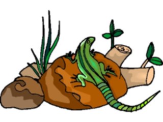 Sticker Custom Preview Image #024909 Animals Land Animals Lizard27