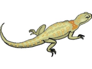 Sticker Custom Preview Image #024910 Animals Land Animals Lizard28