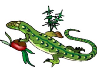 Sticker Custom Preview Image #024911 Animals Land Animals Lizard29