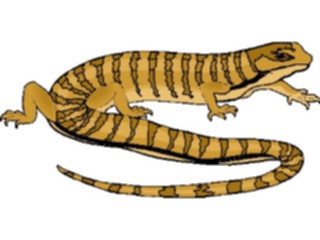 Sticker Custom Preview Image #024912 Animals Land Animals Lizard30