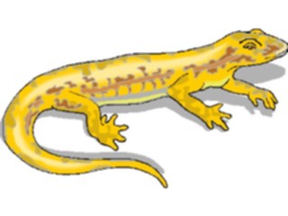 Sticker Custom Preview Image #024913 Animals Land Animals Lizard31