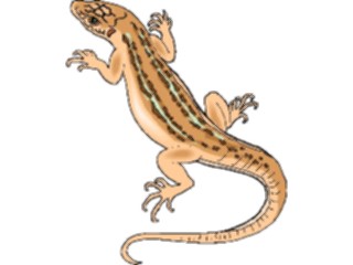 Sticker Custom Preview Image #024915 Animals Land Animals Lizard33