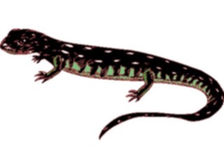 Sticker Custom Preview Image #024921 Animals Land Animals Lizard39