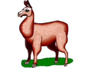 Sticker Custom Preview Image #024927 Animals Land Animals Llama4