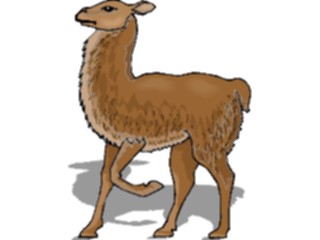 Sticker Custom Preview Image #024928 Animals Land Animals Llama5