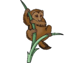 Sticker Custom Preview Image #024929 Animals Land Animals Loris1