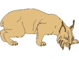 Sticker Custom Preview Image #024931 Animals Land Animals Lynx1