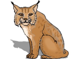 Sticker Custom Preview Image #024933 Animals Land Animals Lynx3