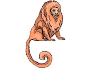 Sticker Custom Preview Image #024937 Animals Land Animals Marmoset2