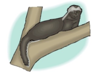 Sticker Custom Preview Image #024939 Animals Land Animals Marmot1