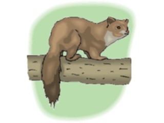 Sticker Custom Preview Image #024940 Animals Land Animals Marmot2