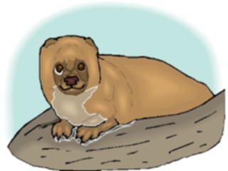 Sticker Custom Preview Image #024941 Animals Land Animals Marmot3