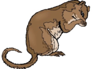 Sticker Custom Preview Image #024943 Animals Land Animals Marten1