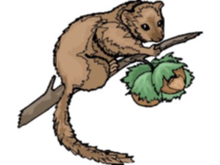 Sticker Custom Preview Image #024944 Animals Land Animals Marten2