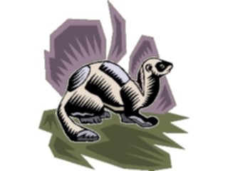 Sticker Custom Preview Image #024946 Animals Land Animals Mink2