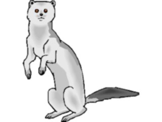 Sticker Custom Preview Image #024947 Animals Land Animals Mink3