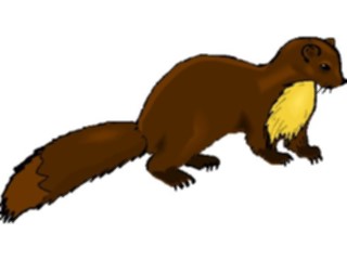 Sticker Custom Preview Image #024948 Animals Land Animals Mink4