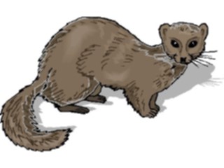 Sticker Custom Preview Image #024949 Animals Land Animals Mink5