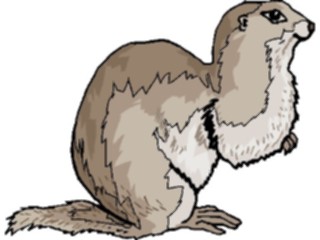 Sticker Custom Preview Image #024950 Animals Land Animals Mink6