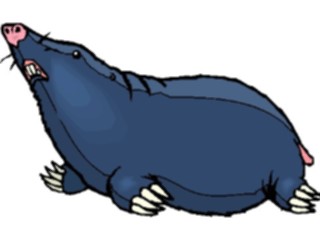 Sticker Custom Preview Image #024958 Animals Land Animals Mole7