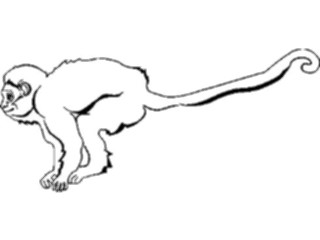 Sticker Custom Preview Image #024962 Animals Land Animals Monkey01