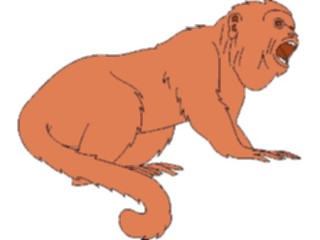 Sticker Custom Preview Image #024964 Animals Land Animals Monkey03