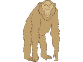 Sticker Custom Preview Image #024965 Animals Land Animals Monkey04