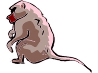 Sticker Custom Preview Image #024972 Animals Land Animals Monkey11