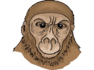 Sticker Custom Preview Image #024974 Animals Land Animals Monkey13