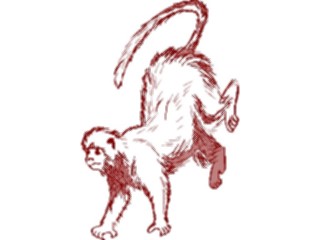 Sticker Custom Preview Image #024980 Animals Land Animals Monkey19