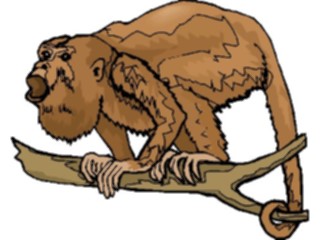 Sticker Custom Preview Image #024981 Animals Land Animals Monkey Howler1